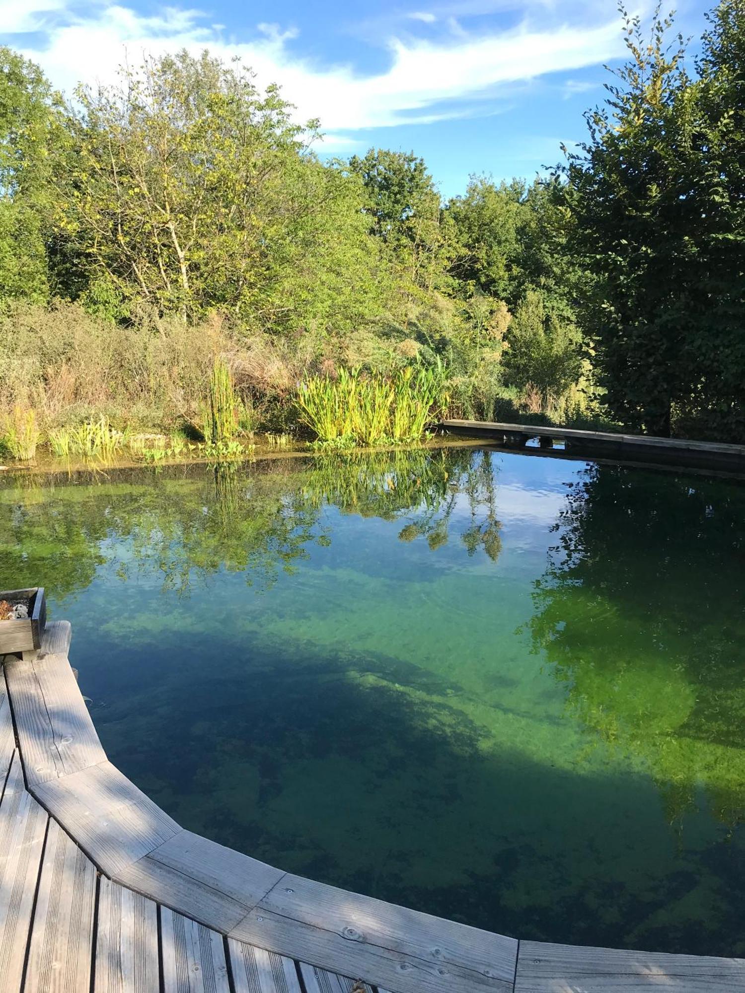 Ecolieu Le Chant Du Temps Bed & Breakfast Saint-Usuge ภายนอก รูปภาพ